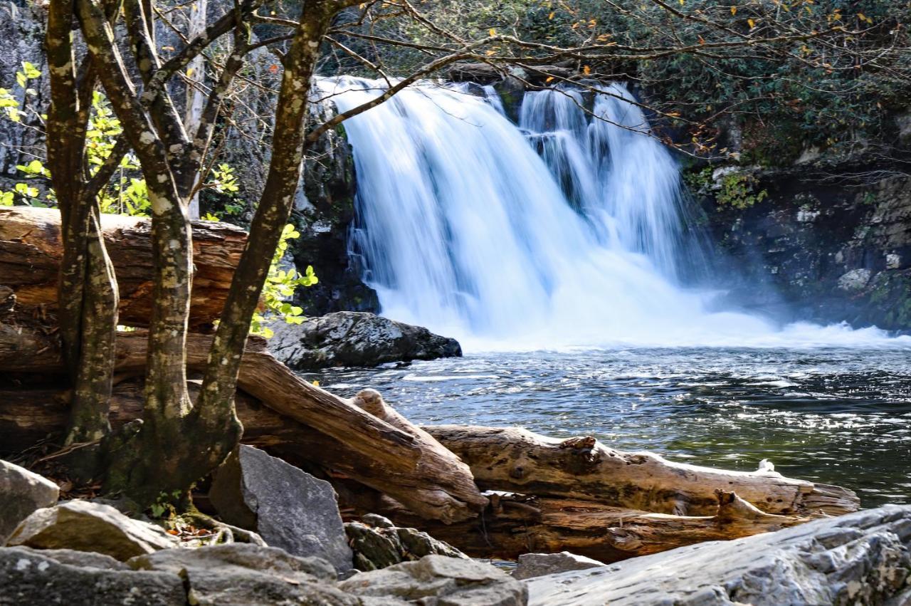 Nature'S Paradise Sevierville Eksteriør billede